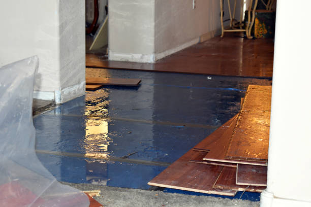 Professional Basement Flood Cleanup technician working in Gulf, NC